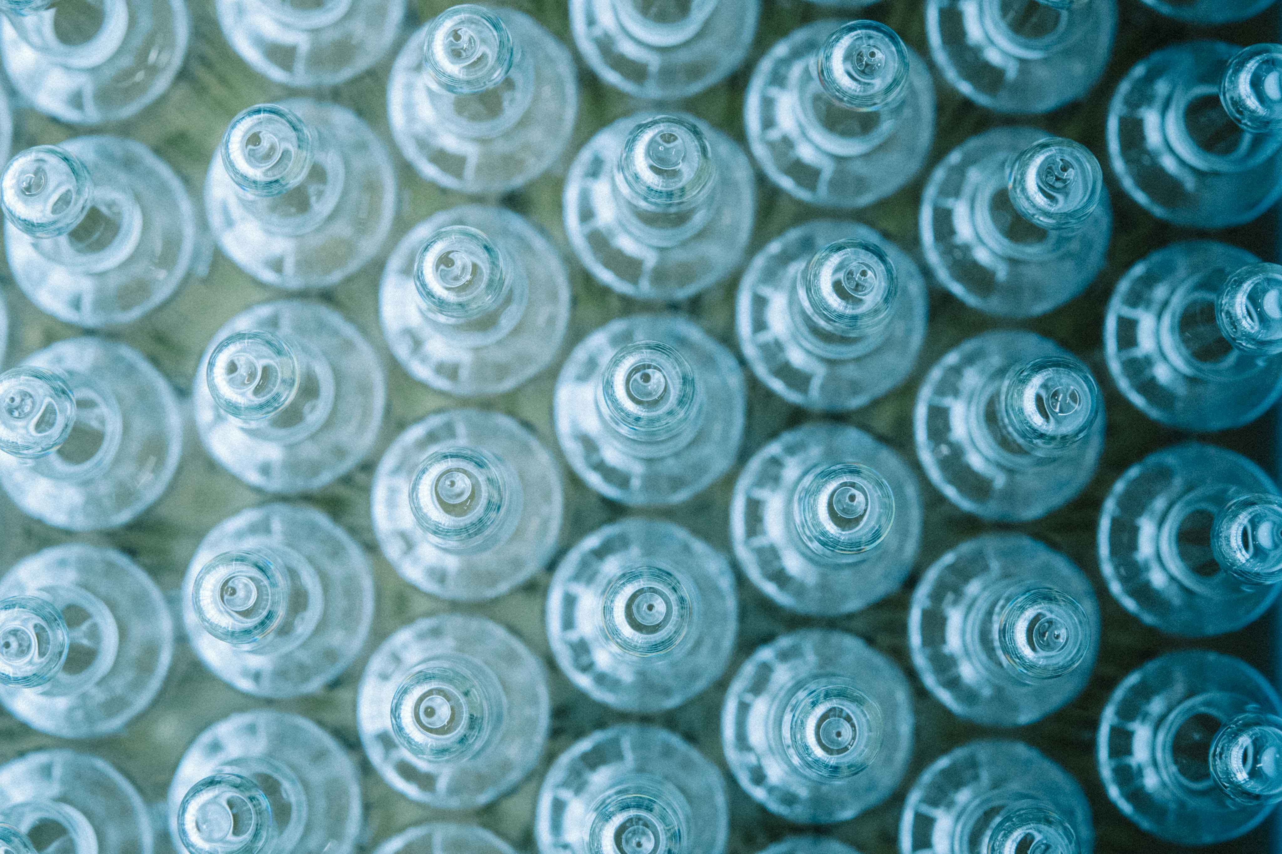 Production line at La Biosthétique